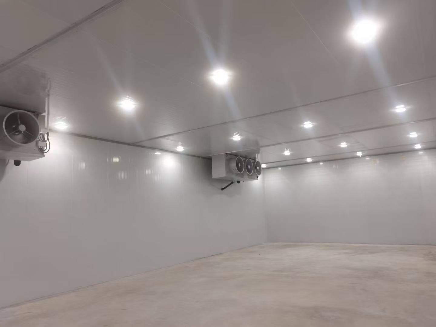 cold room3
