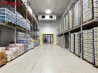 Cold Storage Panel Project in Japan