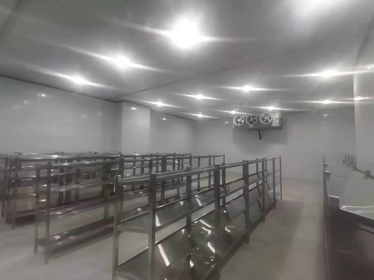 cold room1